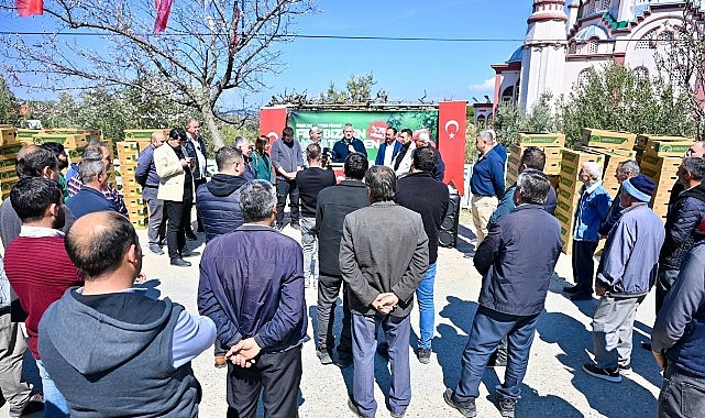 Gördes'te Üreticinin Yüzü Güldü: 73 Bin Domates Fidesi Toprakla Buluşuyor